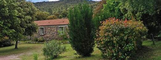 E Canicce