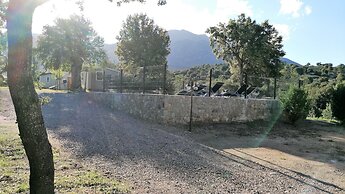 E Canicce