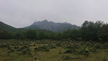 E Canicce