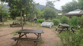 E Canicce