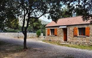 E Canicce