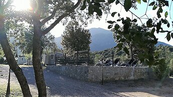 E Canicce