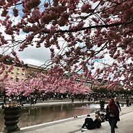 Dockside Hostel Old Town
