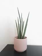 Hostal Balcón al mar