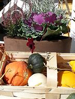 Pensionat Ankargården