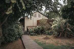 Misty Mountain Reserve