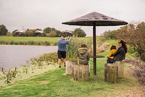 Misty Mountain Reserve