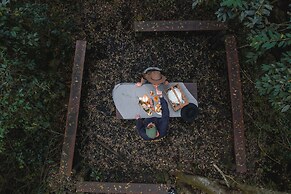 Misty Mountain Reserve