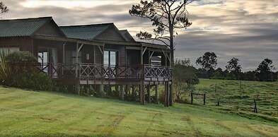 Misty Mountain Reserve