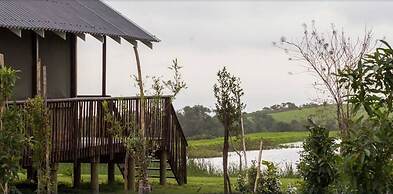 Misty Mountain Reserve