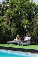 Misty Mountain Reserve