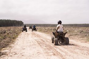 Misty Mountain Reserve