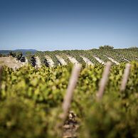 Domaine de Fontenille - Fontenille Collection