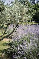 Domaine de Fontenille - Fontenille Collection