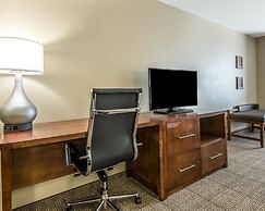 Comfort Suites Dunnellon near Rainbow Springs