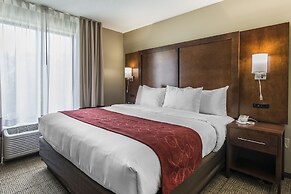 Comfort Suites Dunnellon near Rainbow Springs