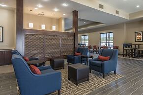 Comfort Suites Dunnellon near Rainbow Springs