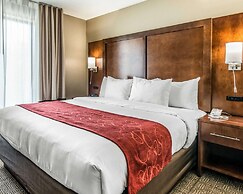 Comfort Suites Dunnellon near Rainbow Springs