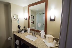 Comfort Suites Dunnellon near Rainbow Springs