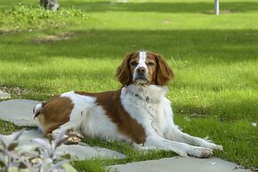 Agriturismo Querceto