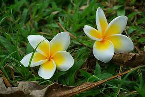 Dansavanh Vientiane Hotel