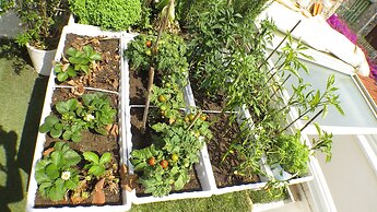 8 Oda Boutique Homes