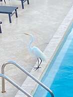 Holiday Isles Resort