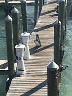 Holiday Isles Resort