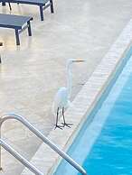 Holiday Isles Resort