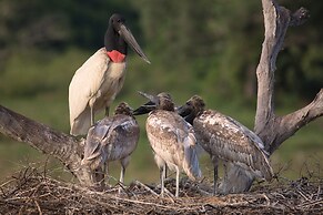 SouthWild Pantanal Lodge