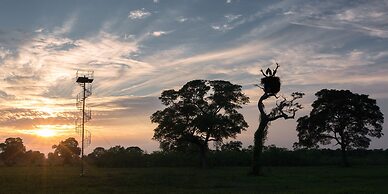 SouthWild Pantanal Lodge