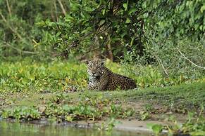 SouthWild Pantanal Lodge