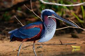 SouthWild Pantanal Lodge