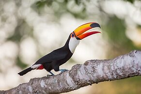 SouthWild Pantanal Lodge