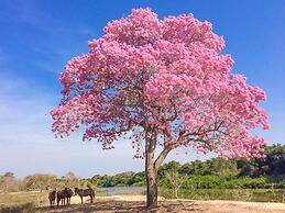 SouthWild Pantanal Lodge