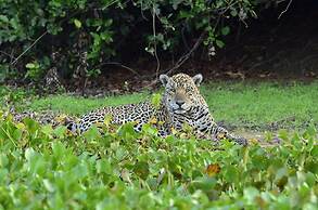 SouthWild Pantanal Lodge
