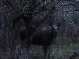 Kvarngården Natur Resort