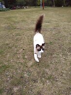 Kvarngården Natur Resort