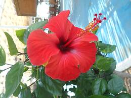 Kastri Boutique Beach