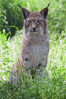 Hotel Parque Serra da Lousã