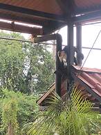 Cabinas Pura Vida Bed & Breakfast