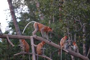 Bilit Adventure Lodge