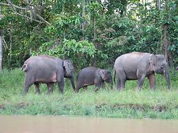 Bilit Adventure Lodge