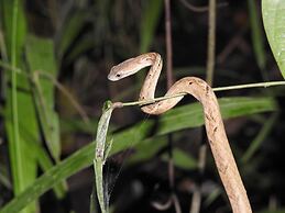 Bilit Adventure Lodge