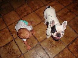 Oasis Hotel Bungalows Rodos