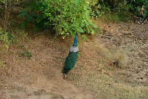 Nil Diya Mankada Safari Lodge