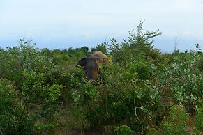 Nil Diya Mankada Safari Lodge