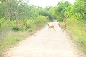 Nil Diya Mankada Safari Lodge