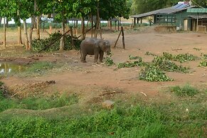Nil Diya Mankada Safari Lodge