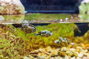 Dom Romanovykh Mini-Hotel